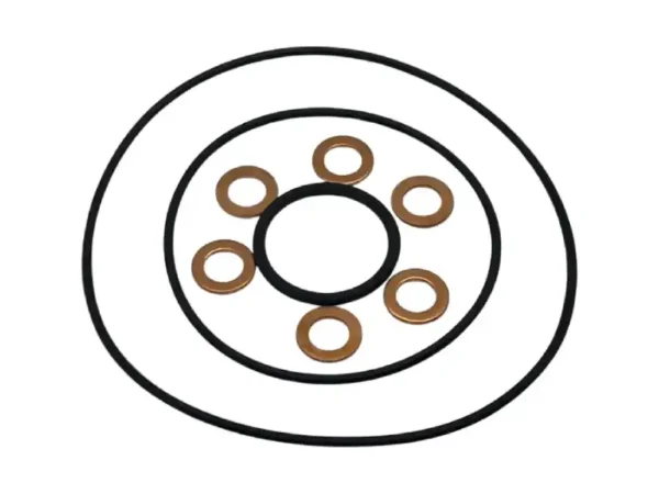 TBI gasket kit